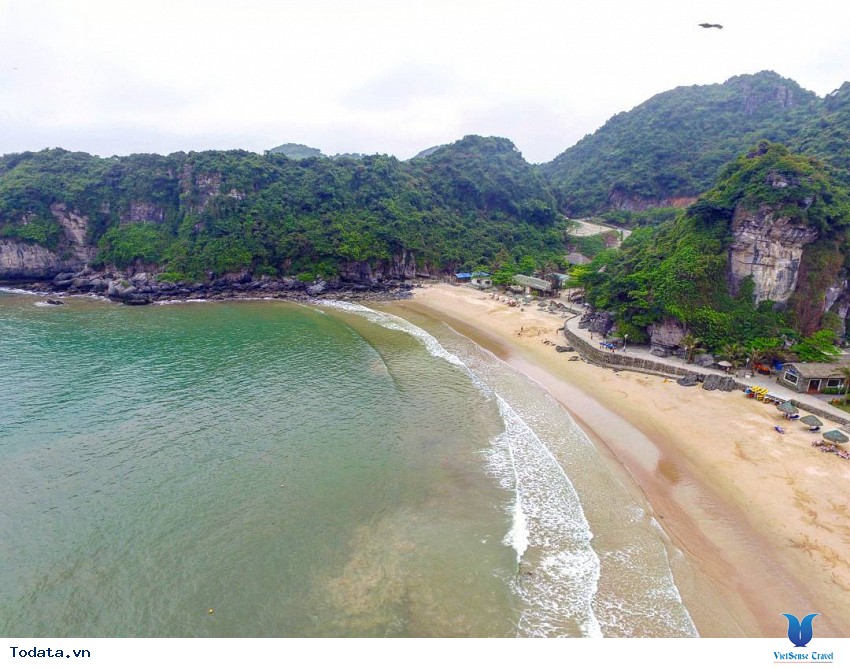 Cát Cò 1-2-3 Hình ảnh 5