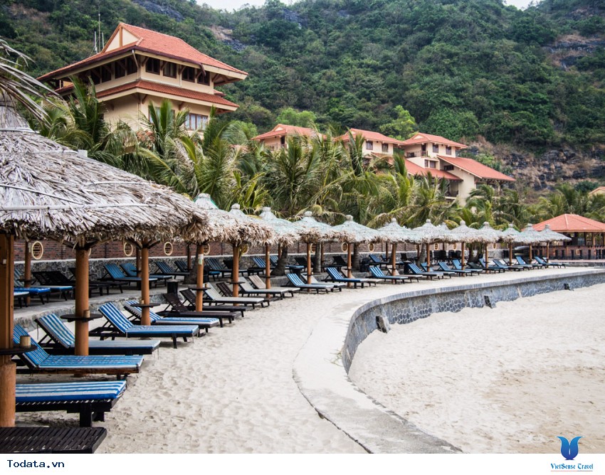 Cát Cò 1-2-3 Hình ảnh 8