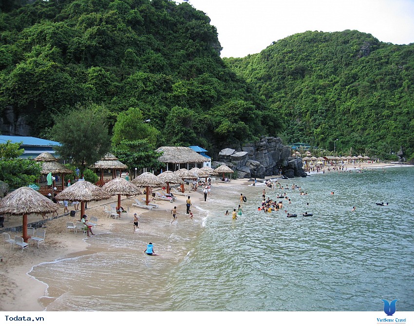 Cát Cò 1-2-3 Hình ảnh 4