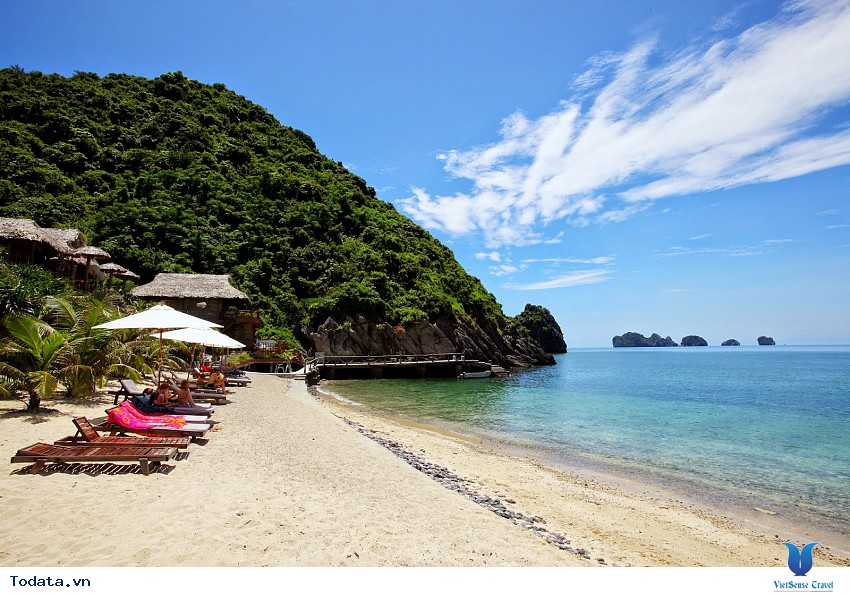 Cát Cò 1-2-3 Hình ảnh 11