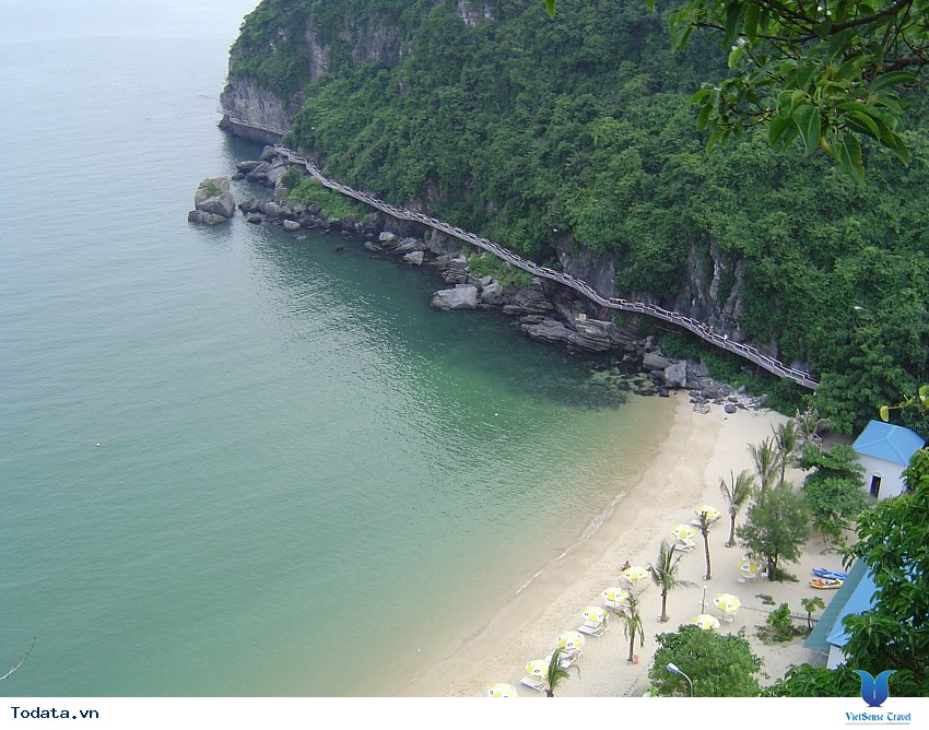 Cát Cò 1-2-3 Hình ảnh 6