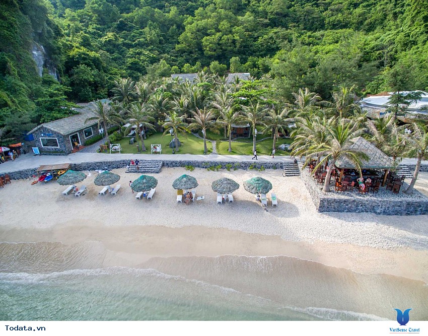 Cát Cò 1-2-3 Hình ảnh 7