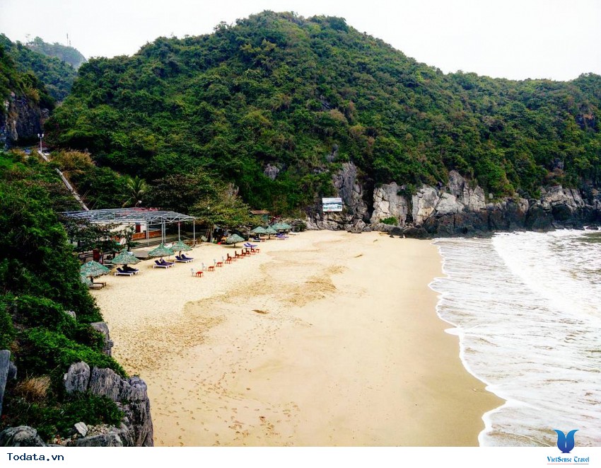 Cát Cò 1-2-3 Hình ảnh 3