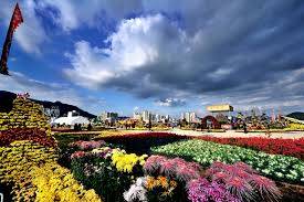 Changwon- ĐIểm Đến Không Thể Bỏ Qua Hình ảnh 1