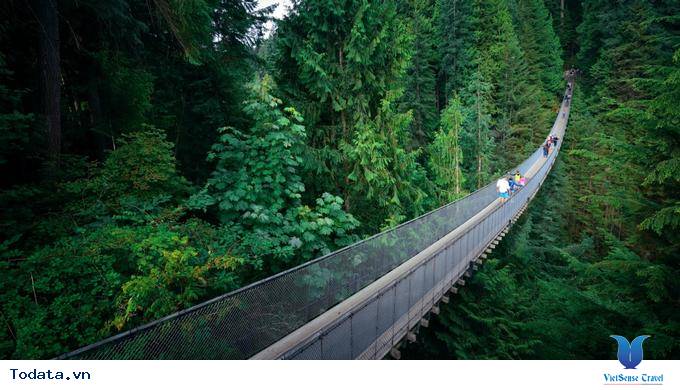 Chiếc cầu treo lơ lửng Capilano Suspension Bridge Park Hình ảnh 1 Chiếc cầu treo lơ lửng Capilano Suspension Bridge Park Hình ảnh 1