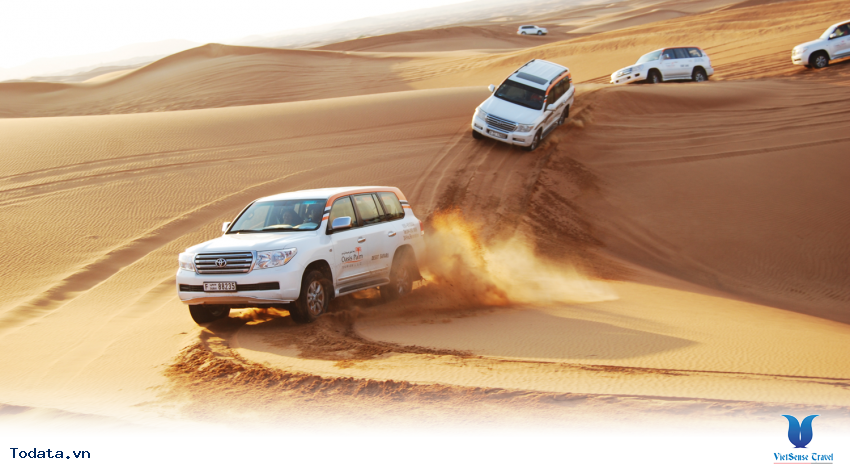 Chinh Phục Safari Hình ảnh 5