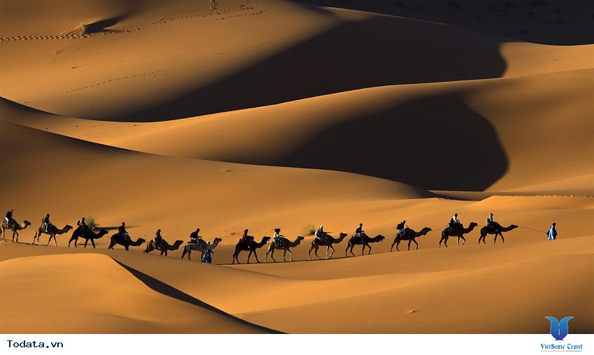 Chinh Phục Safari Hình ảnh 3