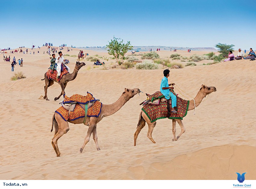 Chinh Phục Safari Hình ảnh 4