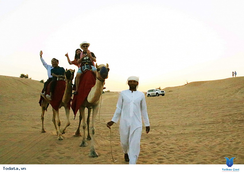 Chinh Phục Safari Hình ảnh 6