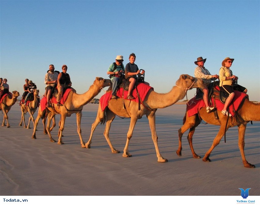 Chinh Phục Safari Hình ảnh 2