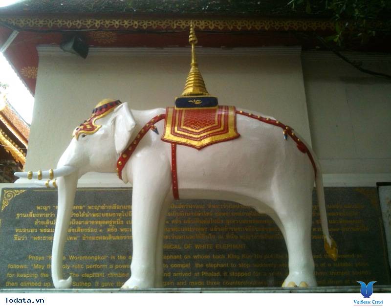 Chùa Voi Trắng Myanmar và những chú voi trắng ngoài đời thường Hình ảnh 3