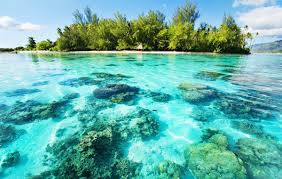 Chuyến du lịch thú vị trên đảo san hồ Coral đẹp mộng mơ Hình ảnh 3 Chuyến du lịch thú vị trên đảo san hồ Coral đẹp mộng mơ Hình ảnh 3