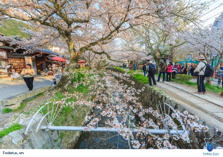 Con Đường Của Nhà Triết Học Ở Nhật Bản Hình ảnh 3