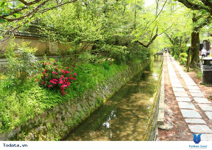 Con Đường Của Nhà Triết Học Ở Nhật Bản Hình ảnh 6