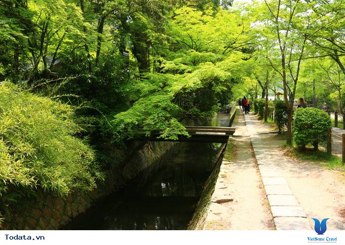 Con Đường Của Nhà Triết Học Ở Nhật Bản Hình ảnh 2