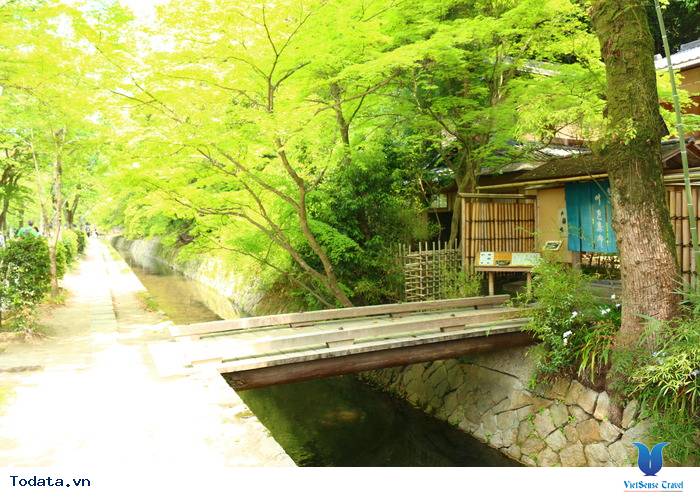 Con Đường Của Nhà Triết Học Ở Nhật Bản Hình ảnh 4