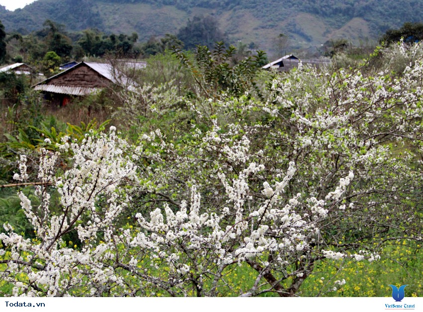 Cổng Trời Mường Lống Hình ảnh 4 Cổng Trời Mường Lống Hình ảnh 4