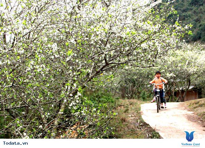 Cổng Trời Mường Lống Hình ảnh 2 Cổng Trời Mường Lống Hình ảnh 2