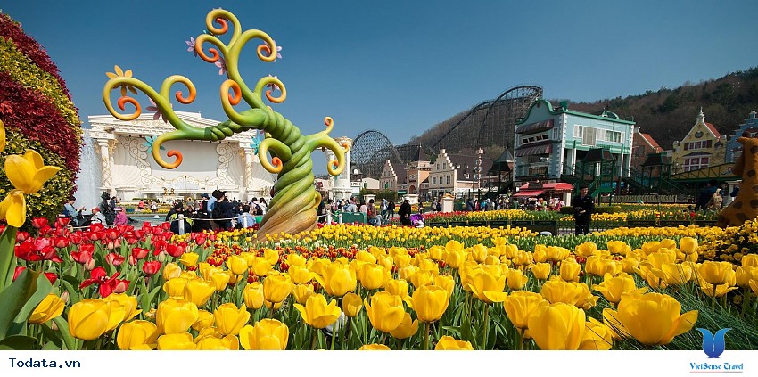 Công Viên Giải Trí Everland Hình ảnh 4