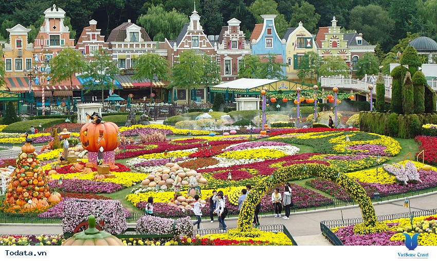 Công Viên Giải Trí Everland Hình ảnh 6