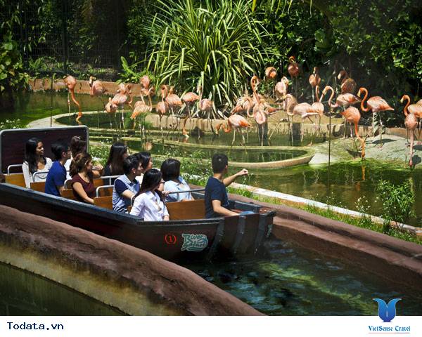 Công viên hoang dã duy nhất ở Châu Á, River Safari Hình ảnh 2