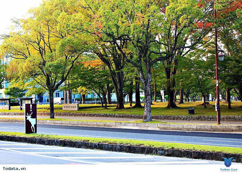 Công Viên Nara Mỗi Độ Thu Về Hình ảnh 6