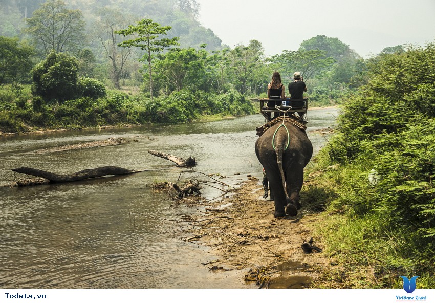 Công viên quốc gia Doi Inthanon Hình ảnh 13