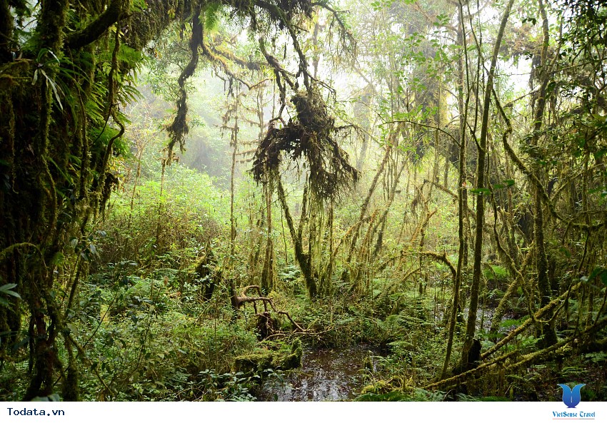 Công viên quốc gia Doi Inthanon Hình ảnh 5