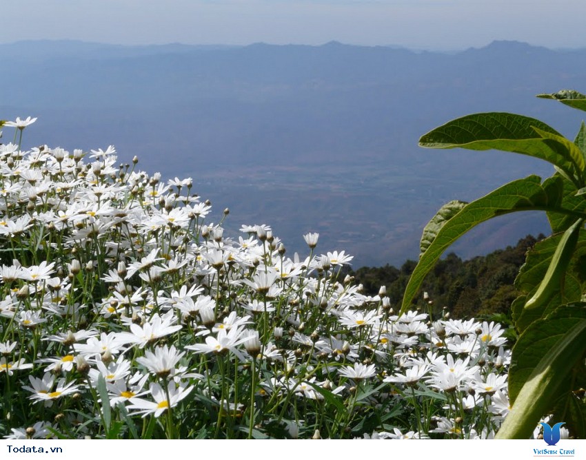 Công viên quốc gia Doi Inthanon Hình ảnh 4