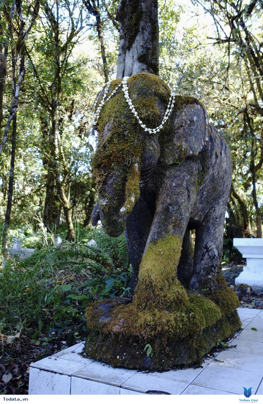 Công viên quốc gia Doi Inthanon Hình ảnh 10