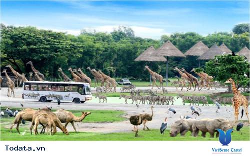 Công Viên Safari World, điểm du lịch hấp dẫn Hình ảnh 1