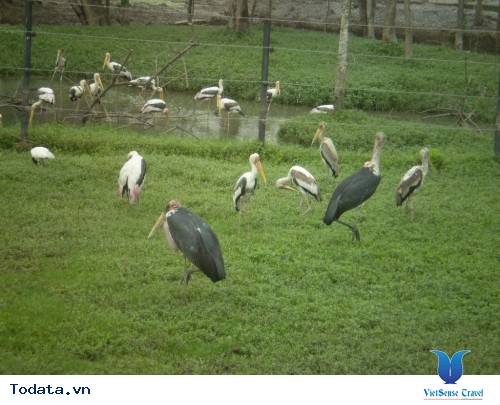 Công Viên Safari World, điểm du lịch hấp dẫn Hình ảnh 2