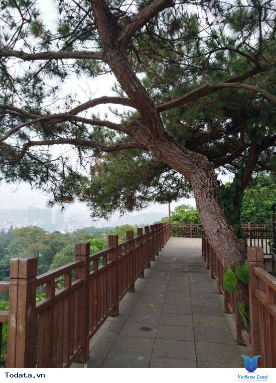 Công Viên Thanh Tú Sơn Nam Ninh Trung Quốc Hình ảnh 5