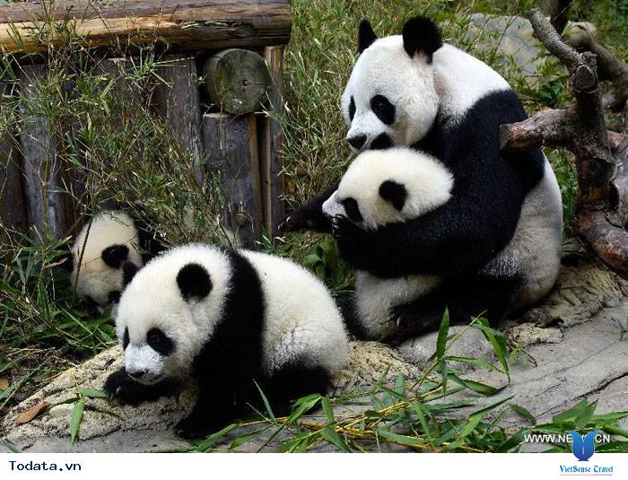 Công viên Thất Tinh Công viên lớn nhất Quế Lâm Hình ảnh 4