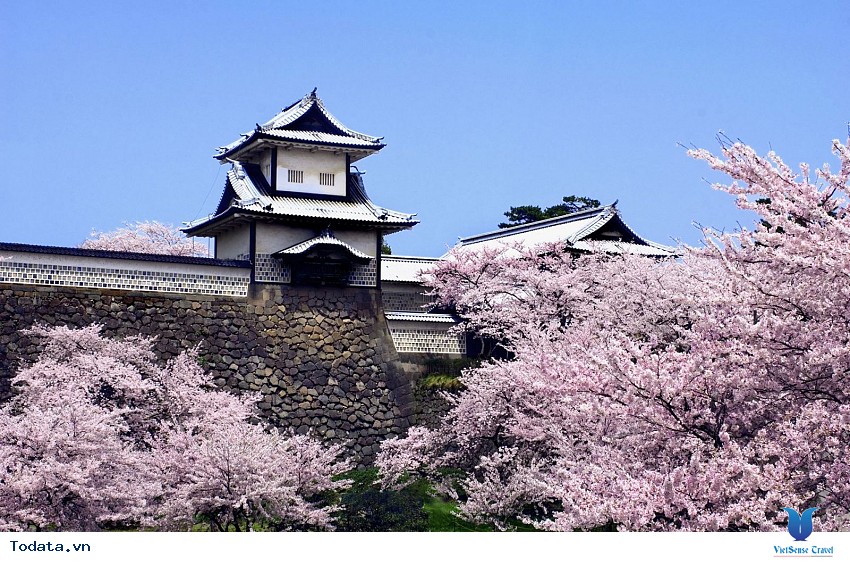 Cung Điện Hoàng Gia Hình ảnh 3