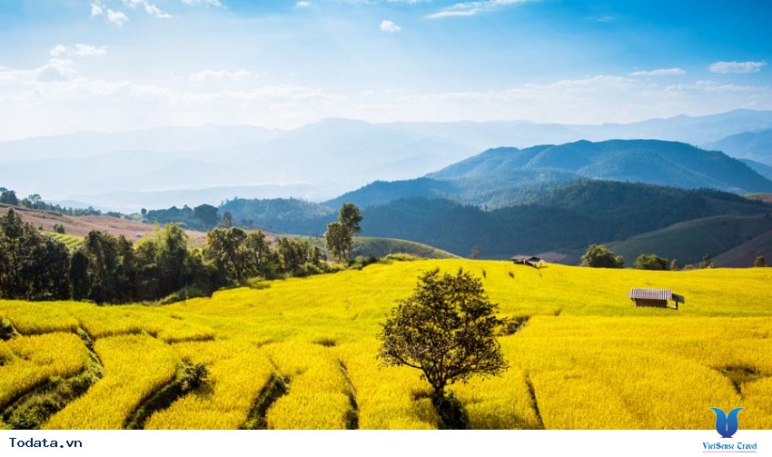 Cùng ngắm thiên nhiên Công Viên Quốc Gia Doi Inthanon Hình ảnh 2