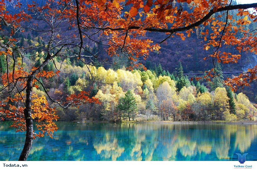 Cửu Trại Câu- Bức Tranh Phản Chiếu Đất Trời Hình ảnh 4