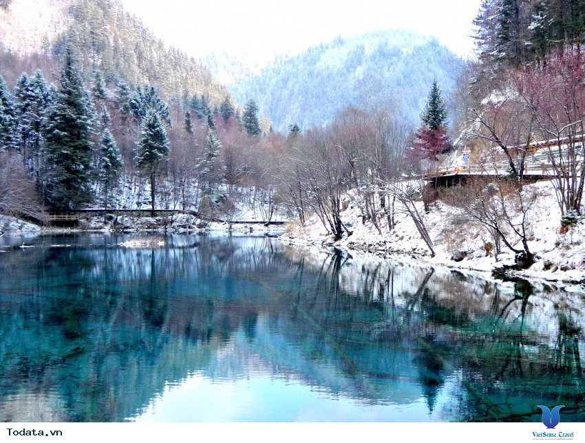 Cửu Trại Câu- Bức Tranh Phản Chiếu Đất Trời Hình ảnh 2