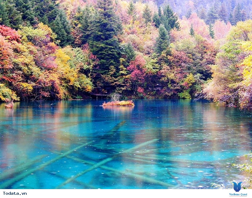 Cửu Trại Câu- Bức Tranh Phản Chiếu Đất Trời Hình ảnh 3