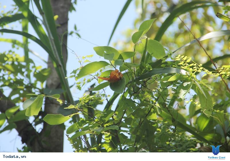 Đảo Ba Mùn Hình ảnh 7