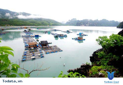 Đảo Ba Mùn Hình ảnh 10