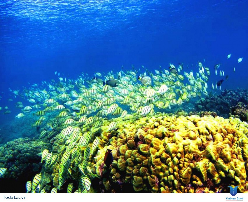 Đảo Ba Mùn Hình ảnh 3