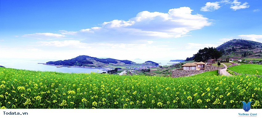 Đảo Cheongsando- Thiên Đường Sống Chậm Hình ảnh 2