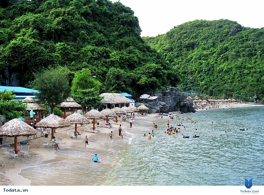 Đảo Khỉ Hình ảnh 12