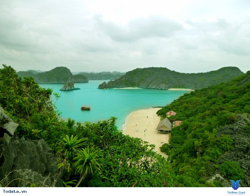 Đảo Khỉ Hình ảnh 3