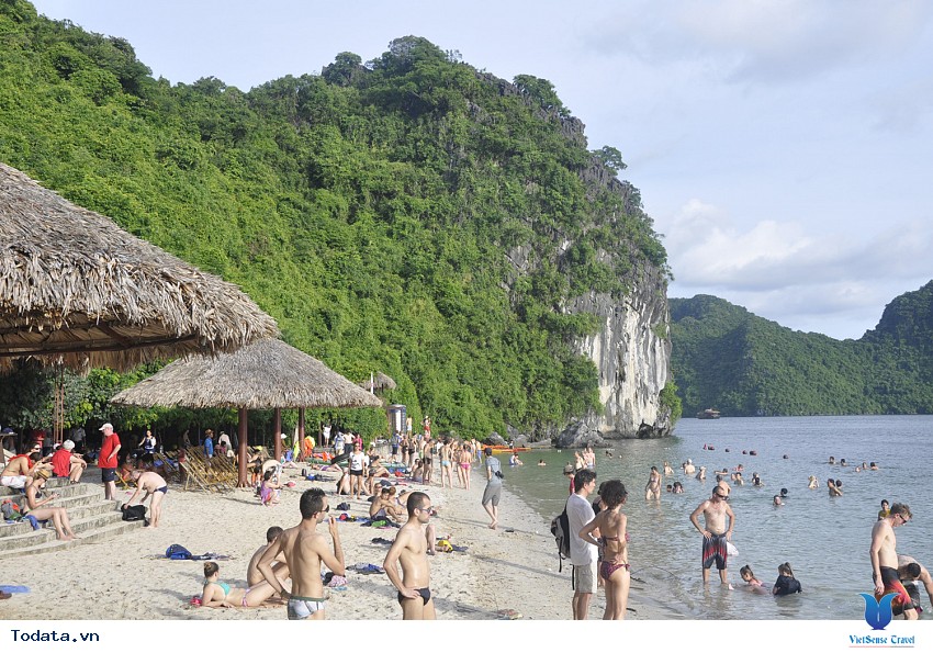 Đảo Ti Tốp Hình ảnh 8