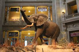 Đến Maldives Để Tham Quan Công Viên Sultan Mơ Mộng Hình ảnh 1