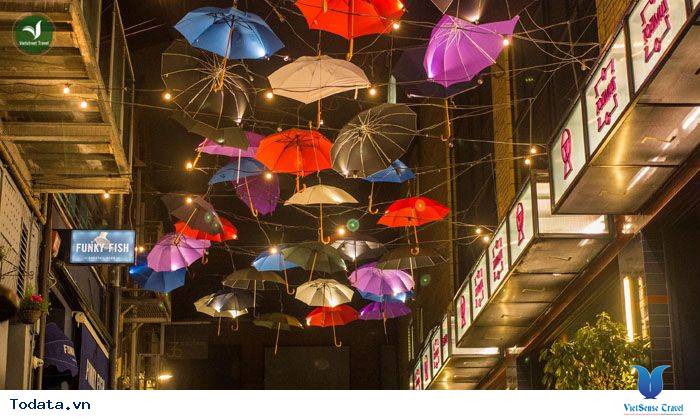 Đến Với Công Viên Việt Tú Hình ảnh 3