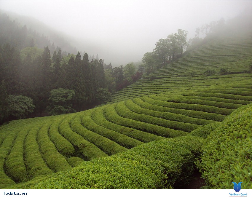 Đến Với Jeolla Nam Hình ảnh 3