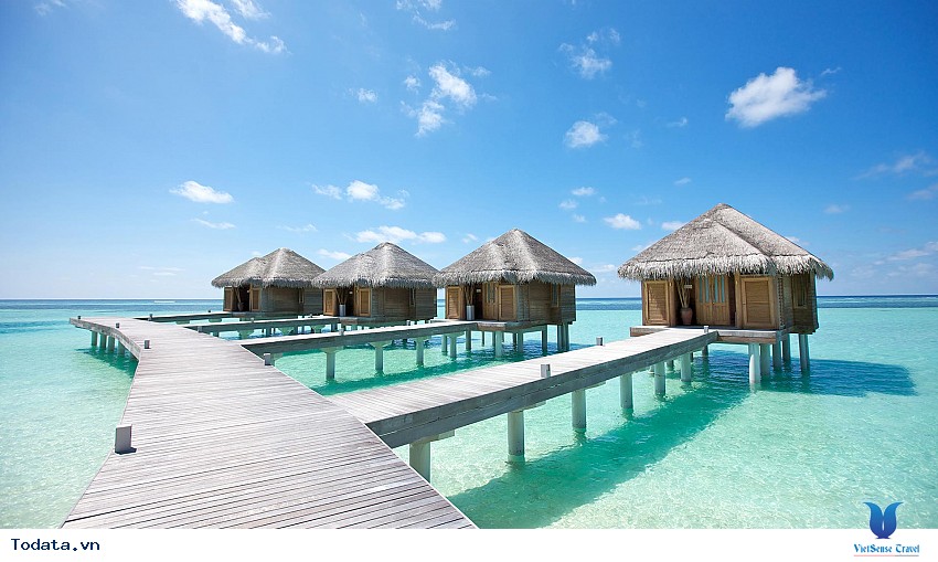 Đến Với Maldives Hình ảnh 5